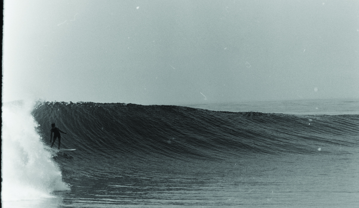 Photo: Tim Bernardy/Lost and Found Collection