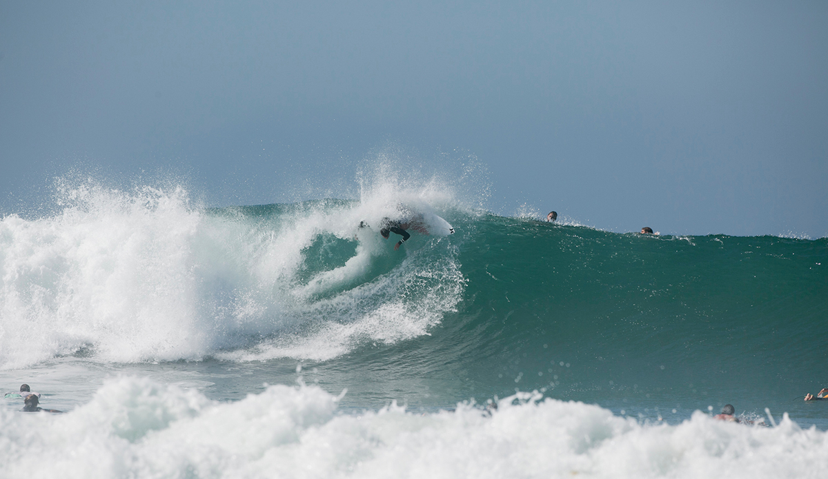 Simpo. Photo: <a href=\"https://www.stevethrailkill.com\">Steve Thrailkill</a>