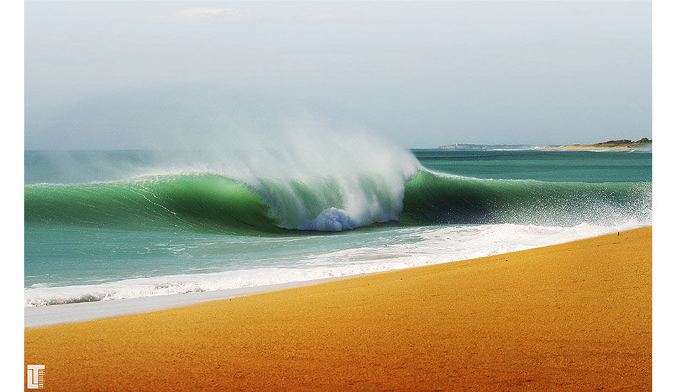 Right or left? Can\'t lose. Image: <a href=\"https://lucashoot.blogspot.com\">Tozzi</a></em></strong>