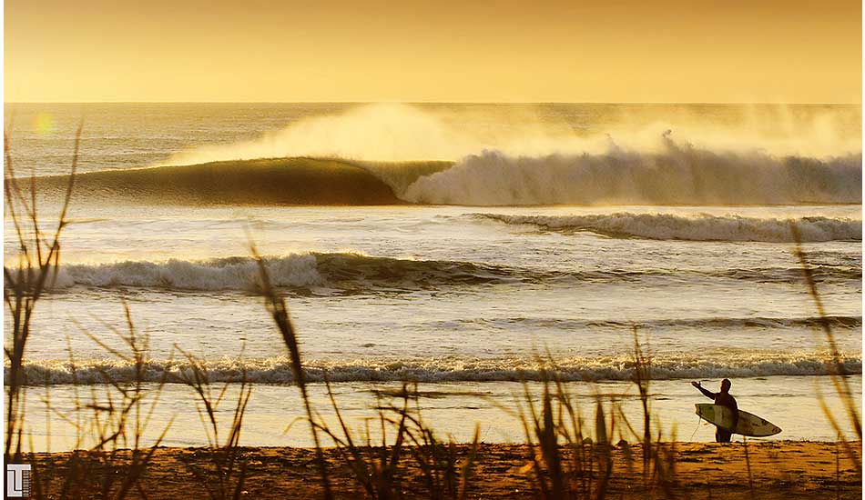 \"Ahh why did I come in?!\" Image: <a href=\"https://lucashoot.blogspot.com\">Tozzi</a></em></strong>