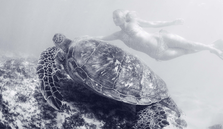 GIRL AND TURTLE. Maui, 2009. Photo: <a href=\"https://www.luciagriggi.com\" target=\"_blank\">Lucia Griggi</a>