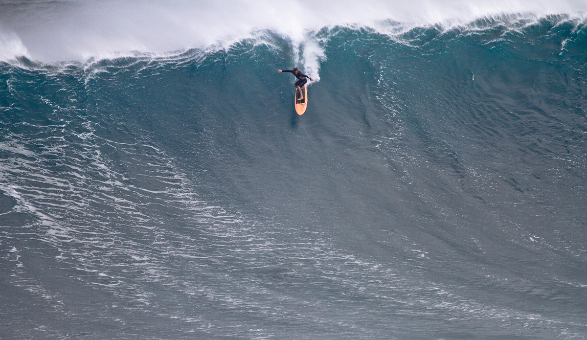 Nic Lamd. Photo: Aaron Lynton 