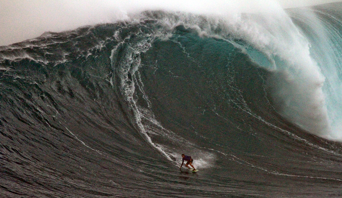Nicole Pacelli. Photo: Aaron Lynton 