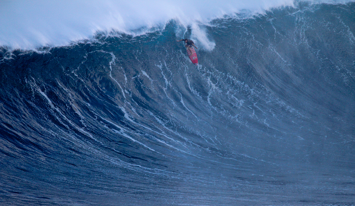 Torrey Meister. Photo: Aaron Lynton