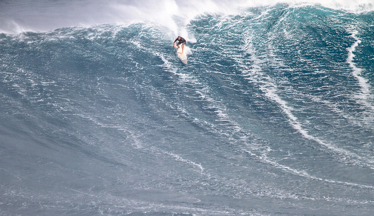 Trevor Sven Carlson. Photo: Aaron Lynton