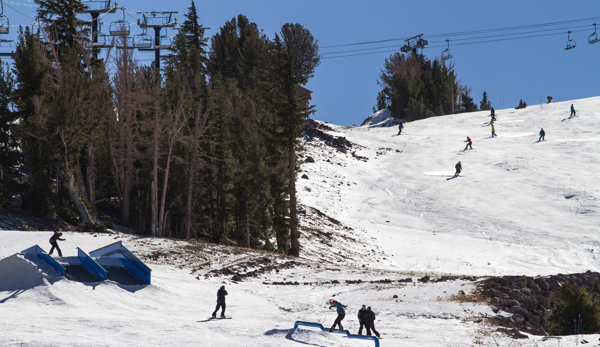 Two for the price of one. Photo: <a href=\"https://www.dannynieves.com/\">Danny Nieves</a>