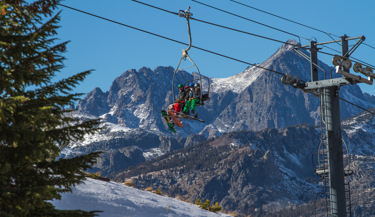 No idea why they\'re looking this way. Photo: <a href=\"https://www.dannynieves.com/\">Danny Nieves</a>