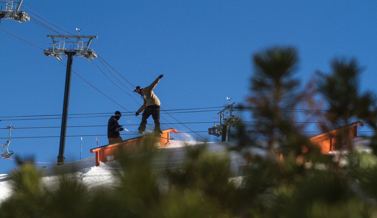 Unknown, front board in the park. Photo: <a href=\"https://www.dannynieves.com/\">Danny Nieves</a>