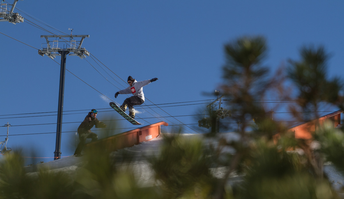 Jared McDaniel for Arbor. Photo: <a href=\"https://www.dannynieves.com/\">Danny Nieves</a>