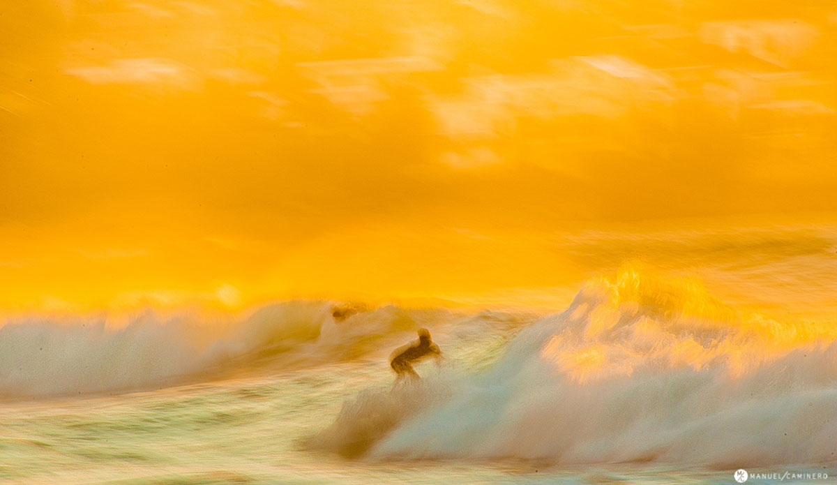 Bondi. Photo: <a href=\"https://www.manuelcaminero.com/#0\">Manuel Caminero</a>