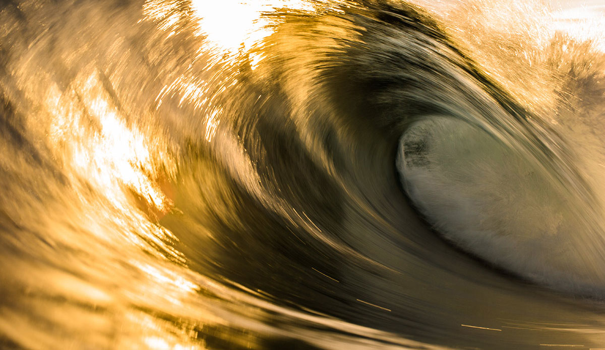 Photo: <a href=\"https://www.saltmotion.com/\"> Joel Coleman</a>