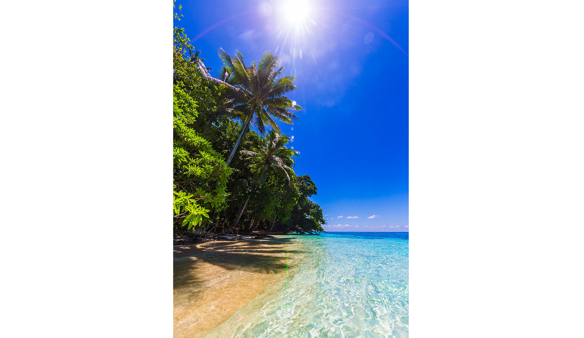 Photo: <a href=\"https://www.saltmotion.com/\"> Joel Coleman</a>