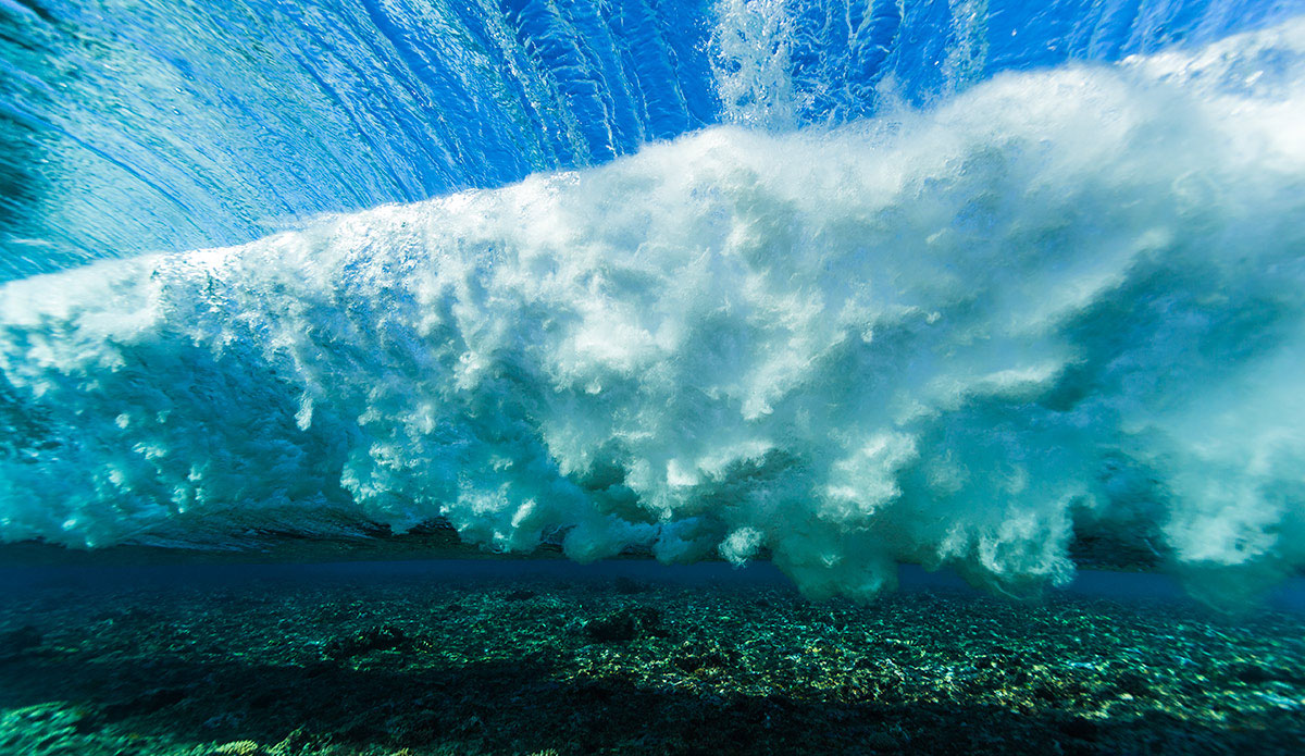 Photo: <a href=\"https://www.saltmotion.com/\"> Joel Coleman</a>