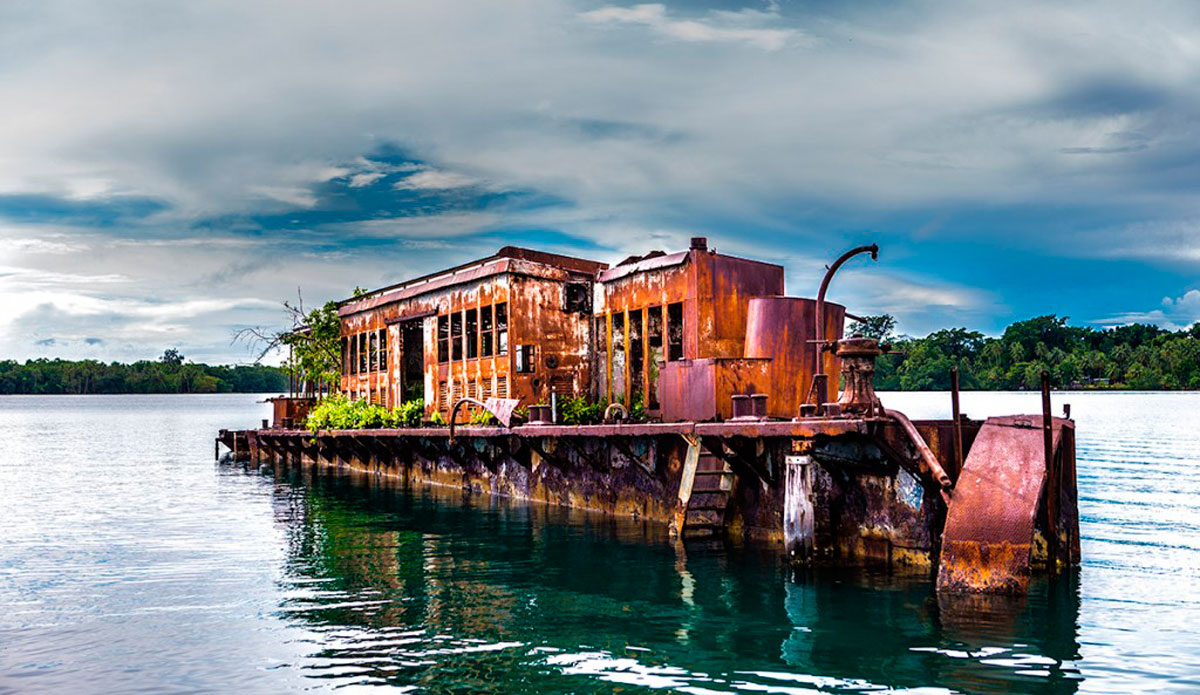 Photo: <a href=\"https://www.saltmotion.com/\"> Joel Coleman</a>