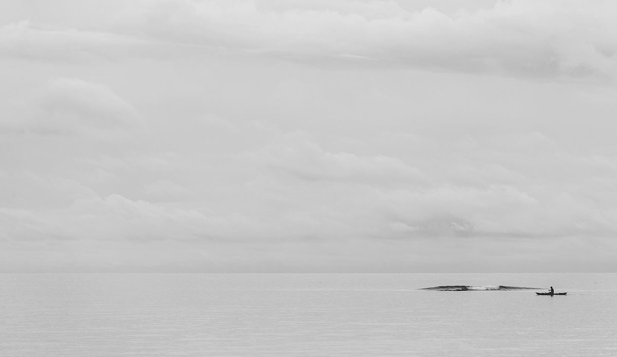 Photo: <a href=\"https://www.saltmotion.com/\"> Joel Coleman</a>