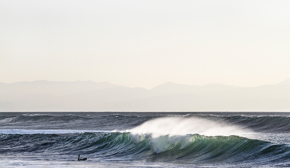 Didn\'t know chickens could dive like ducks. Photo: <a href=\"https://marcuspaladino.wordpress.com\">Marcus Paladino</a>