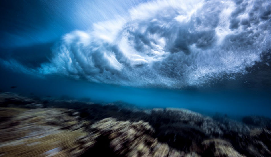 Sina. Photo: <a href=\"https://www.marktipple.com/\" target=_blank>Mark Tipple</a>.