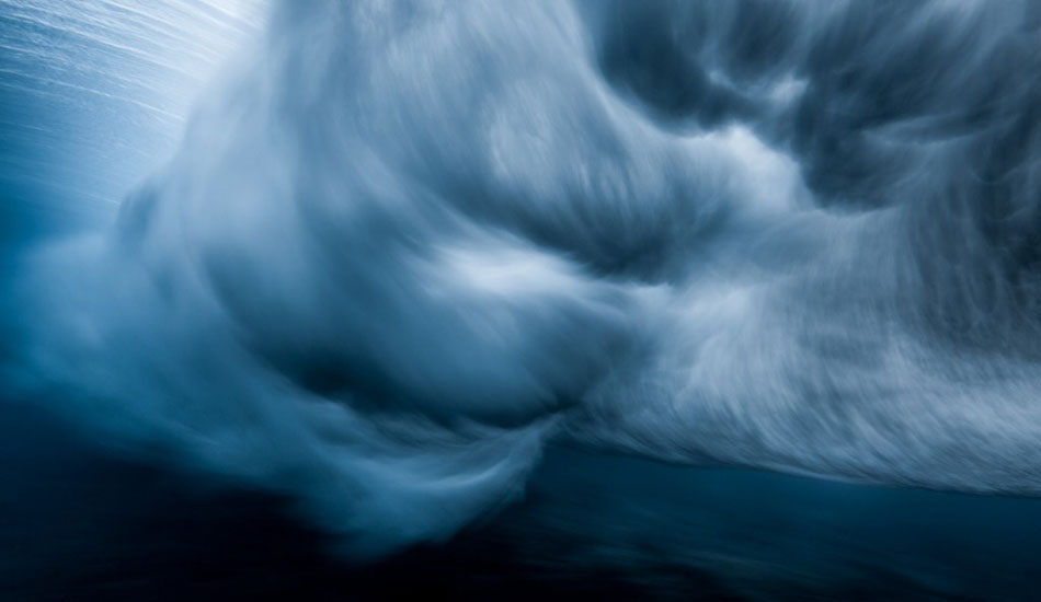 Temba. Photo: <a href=\"https://www.marktipple.com/\" target=_blank>Mark Tipple</a>.