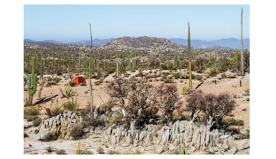 Mornings in the desert. Photo: <a href=\"https://markmcinnis.com/\">Mark McInnis</a>