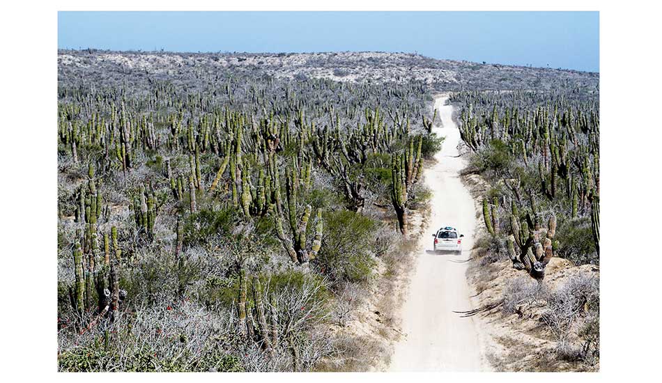 Venturing into the Baja desert. Photo: <a href=\"https://markmcinnis.com/\">Mark McInnis</a>