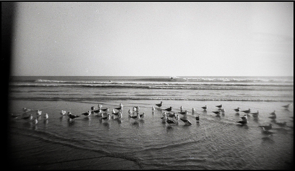 The lazy seagull\'s bird\'s eye view of an inside racer at Church.