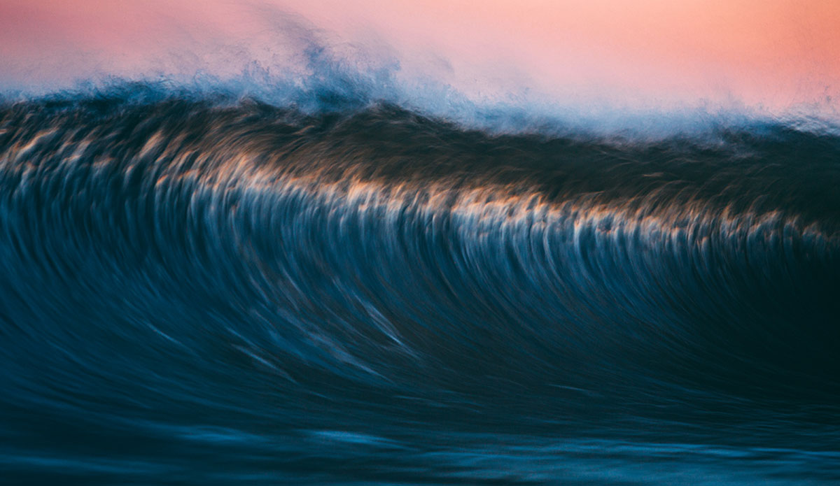 Rosemint - Movement plus these long focal distances at open aperture\'s are also starting to become a theme in my photos. All artists evolve and it\'s interesting to see it happen over years and decades. Maybe in digital photography it can be a process that\'s sped up and this is something that would have taken me years to advance to having used film, but we don\'t live in that time anymore and I think you have to embrace what comes. Fighting the future will leave you in the past, and that\'s somewhere no human wants to be. Reinvent yourself always. Photo: <a href=\"https://www.clarkography.com/\" target=_blank>Matt Clark</a>