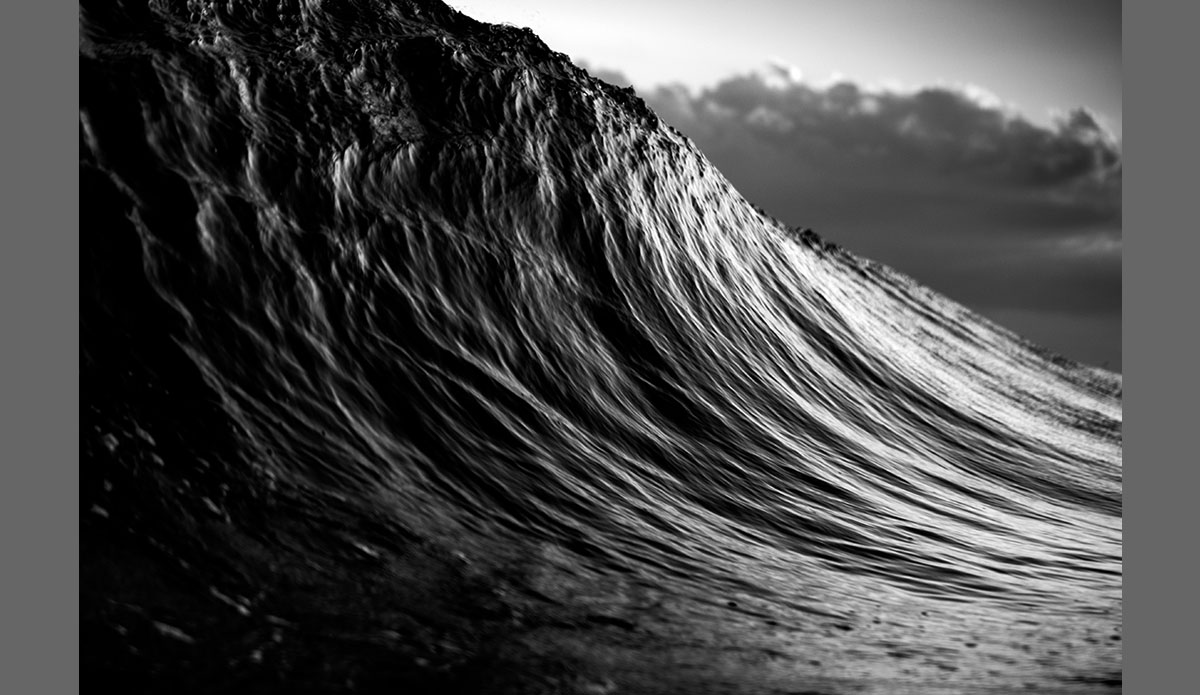 Miss Cross- An ode to a great Wes Anderson character from Rushmore. She was soft and beautiful but remained structured and strong. This image just made me think of her and one of the lines from the movie when Max is confronting her and he says \"that\'s a kind of cheap way to put it.\" and you have this moment where you\'re completely taken out of the movie by her response. I love it, it just throws you for a loop and I like when that happens in life. Here\'s to Rosemary Cross. Photo: <a href=\"https://www.clarkography.com/\" target=_blank>Matt Clark</a>