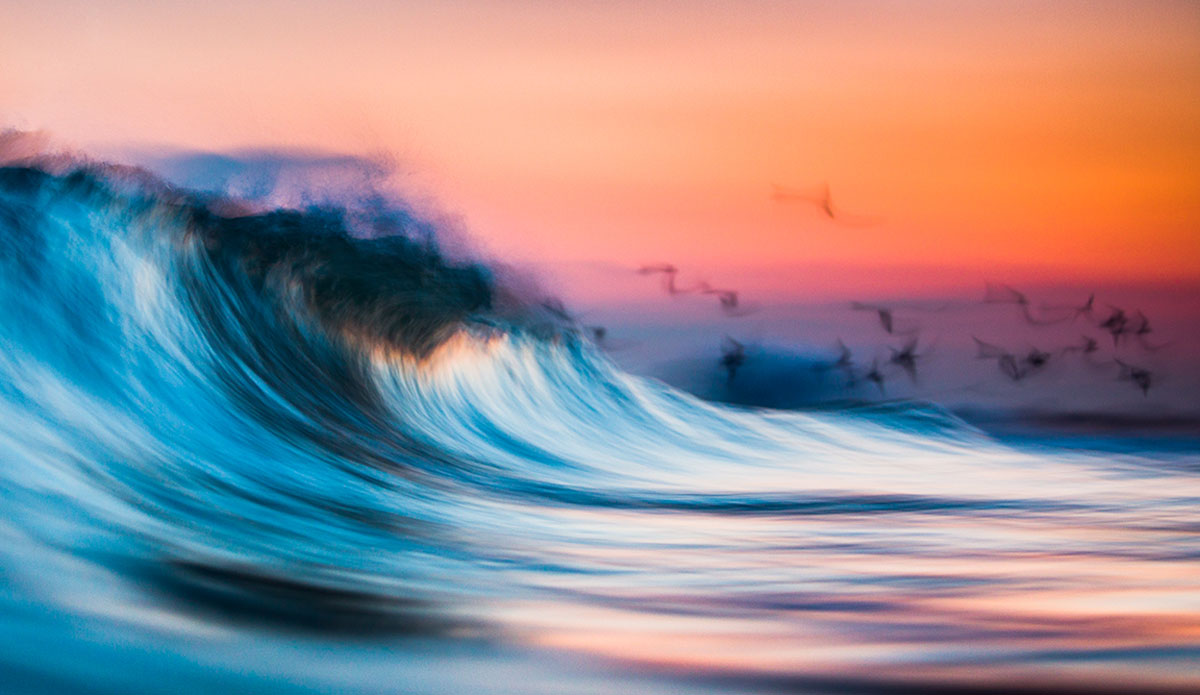 Untitled - One of my favorite new images I\'ve taken in 2014. Mid-summer hurricane swell, beautiful sunset, seagulls in flight, it\'s my warm watercolor world. Photo: <a href=\"https://www.clarkography.com/\" target=_blank>Matt Clark</a>