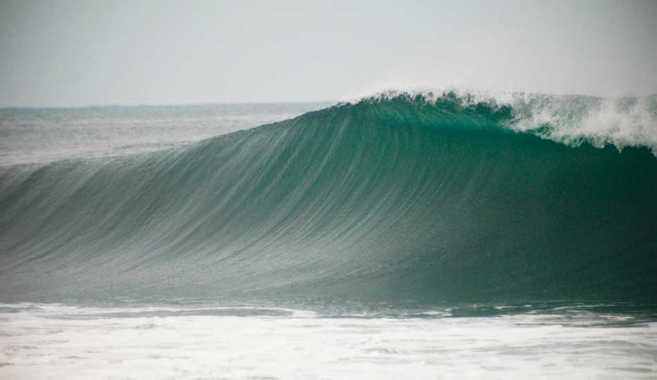 A bit of green peeking through on a gloomy but perfect day. Photo: <a href=\"https://mattdegreff.com/\" target=_blank>Matt Degreff</a>.