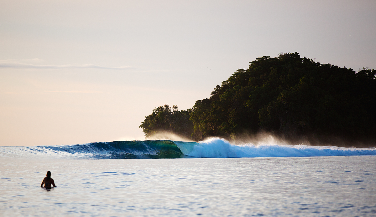 My new wallpaper for my work computer. Photo: <a href=\"https://mattdunbar.com.au\">Matt Dunbar</a>