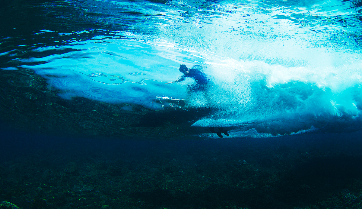 As clear as mud. Photo: <a href=\"https://mattdunbar.com.au\">Matt Dunbar</a>