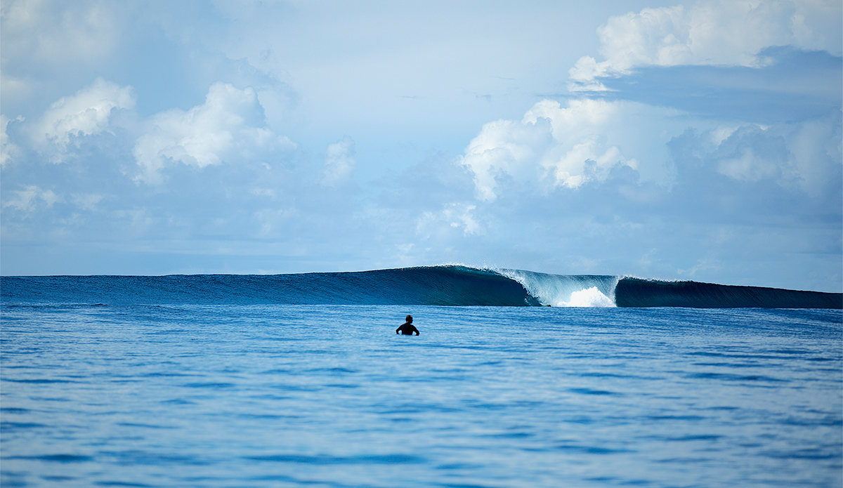 Postcard lineups. Photo: <a href=\"https://mattdunbar.com.au\">Matt Dunbar</a>