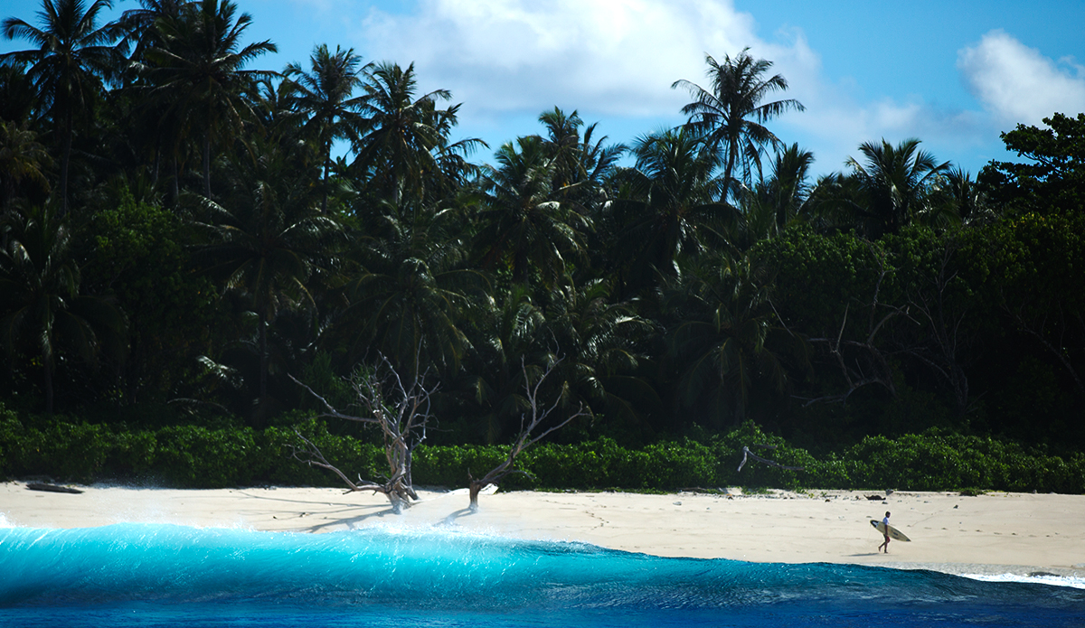 Another lovely walk of shame. Photo: <a href=\"https://mattdunbar.com.au\">Matt Dunbar</a>