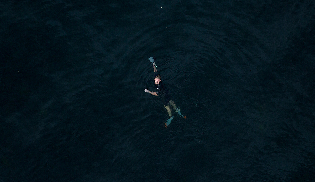 Ray Collins is a common visitor to the break. Here he is giving us the stink eye. Photo: <a href=\"https://www.facebook.com/pages/MattDunbarPhotography/285105918215175\">Matt Dunbar</a> and  <a href=\"https://www.ianbirdphotography.com/\">Ian Bird</a>