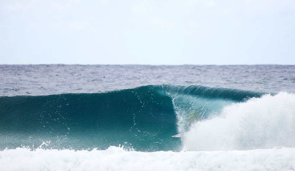 Locked in. Photo: <a href=\"https://mattdunbar.com.au\">Matt Dunbar</a>