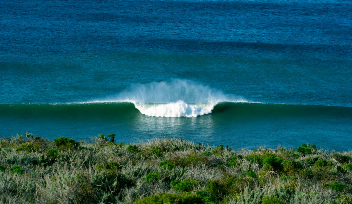 Bigger than it looks in Central California. Photo: <a href=\"https://mhoffmanphotography.com/\" target=\"_blank\">Matt Hoffman</a>