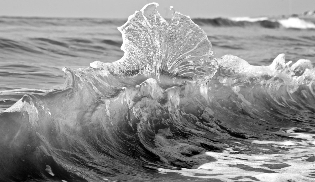 Mermaid tail, seashell, I’ve heard it all. Photo: <a href=\"https://mhoffmanphotography.com/\" target=\"_blank\">Matt Hoffman</a>