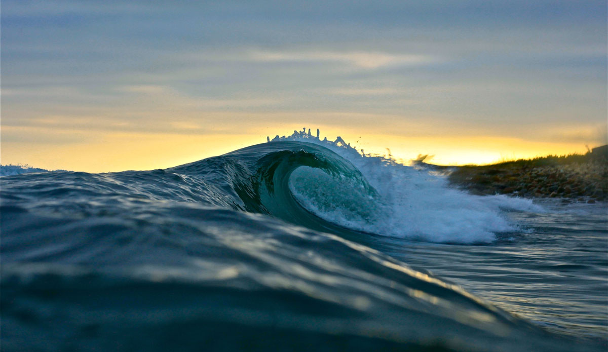 Summer evenings in California. Photo: <a href=\"https://mhoffmanphotography.com/\"> Matt Hoffman</a>