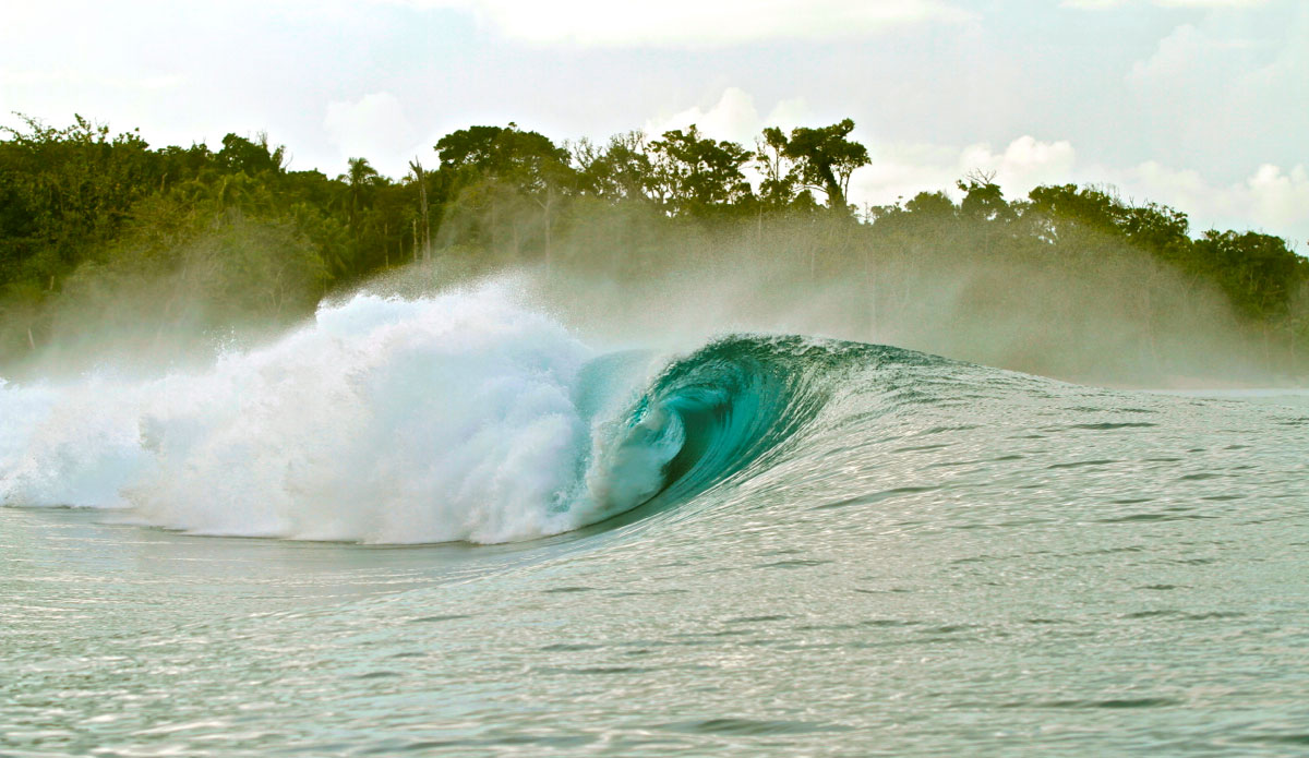 Green Bush is extremely photogenic. Photo: <a href=\"https://mhoffmanphotography.com/\"> Matt Hoffman</a> 