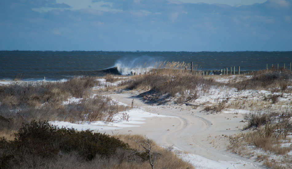 If this was my front yard… Photo: Matt Landon
