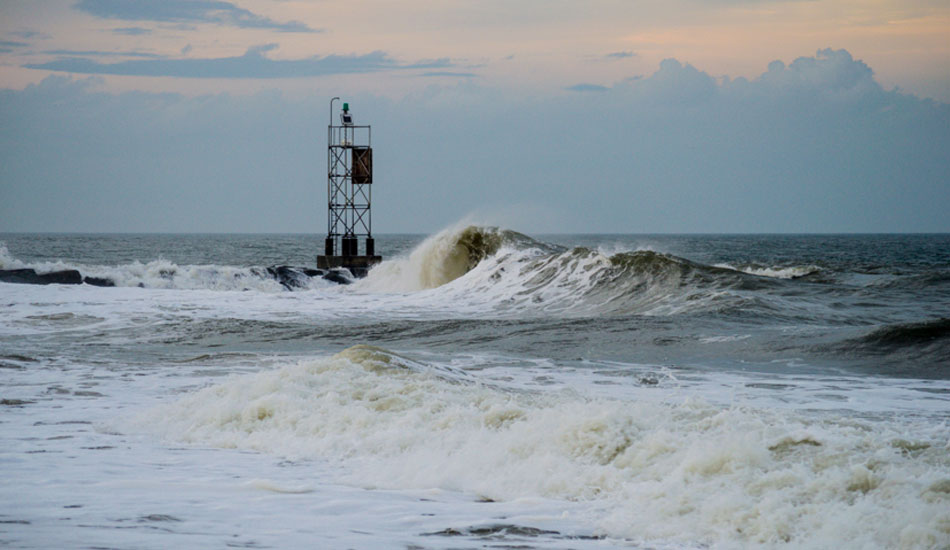 Delmarva. Photo: Matt Landon