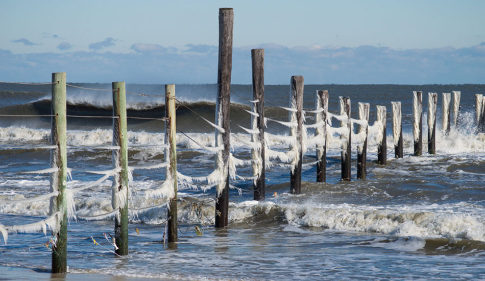 Don\'t see this too often. Photo: Matt Landon