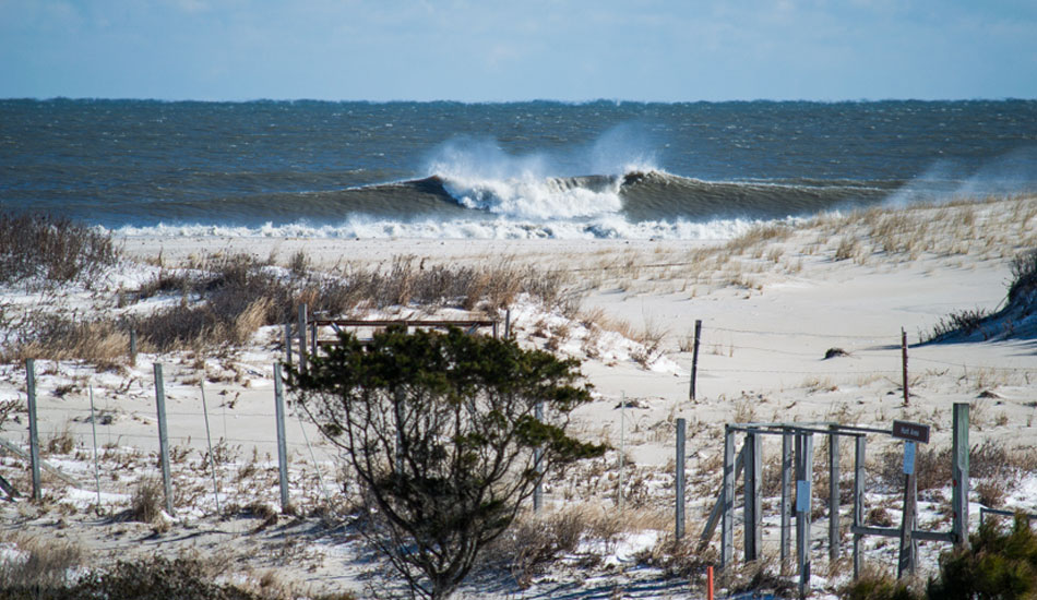 VA side of the line. Photo: Matt Landon