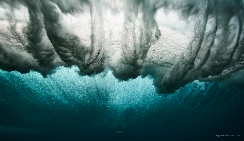 The show below. Photo:<a href=\"https://aquaseen.com/\">Matt Shepherd</a>