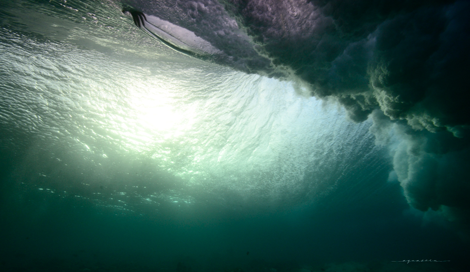 Through the light. Photo:<a href=\"https://aquaseen.com/\">Matt Shepherd</a>