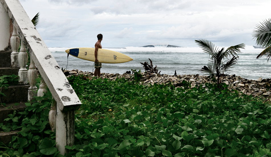 It doesn\'t look that big from here. Photo:<a href=\"https://aquaseen.com/\">Matt Shepherd</a>