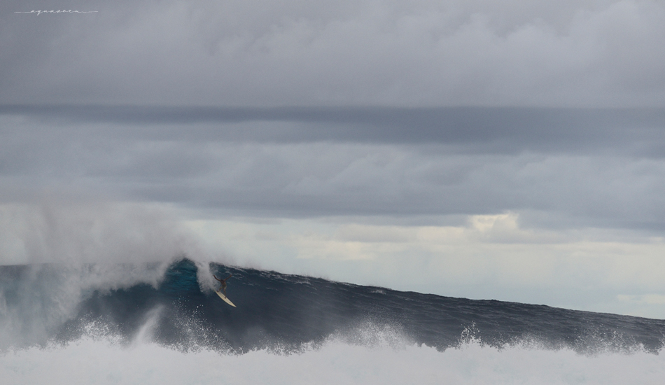 Yep, it\'s big enough. Photo:<a href=\"https://aquaseen.com/\">Matt Shepherd</a>