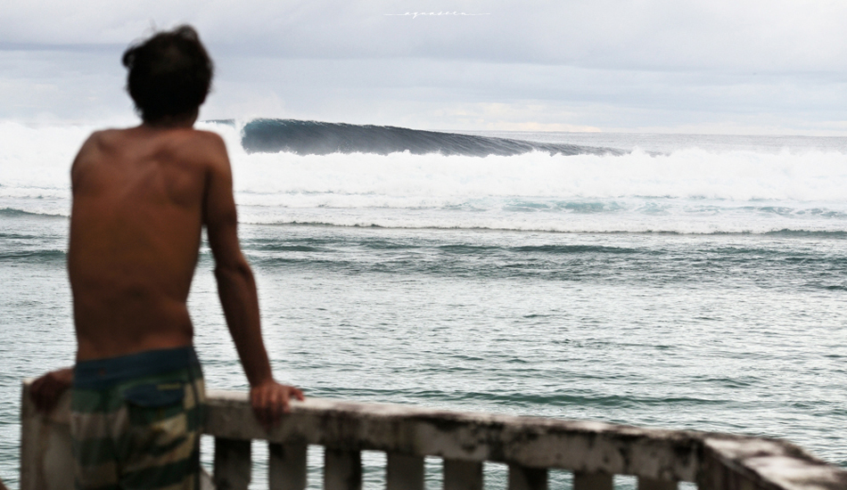 Matt Rott, taking in a special session.Photo:<a href=\"https://aquaseen.com/\">Matt Shepherd</a>