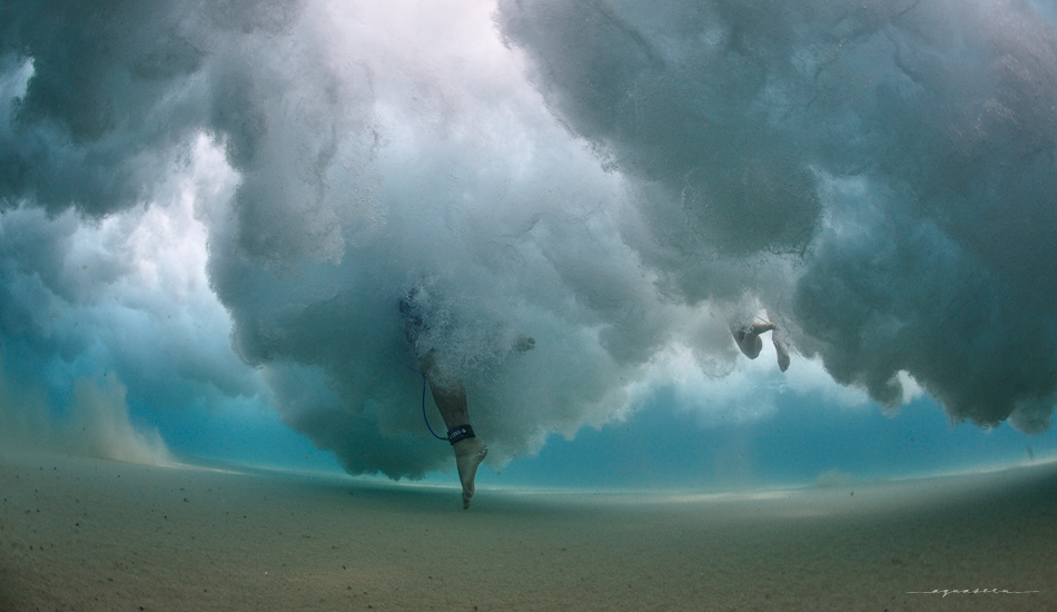 Touchdown. Photo:<a href=\"https://aquaseen.com/\">Matt Shepherd</a>