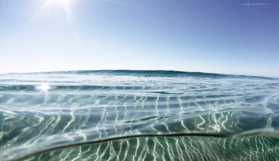 Lucid. Photo:<a href=\"https://aquaseen.com/\">Matt Shepherd</a>